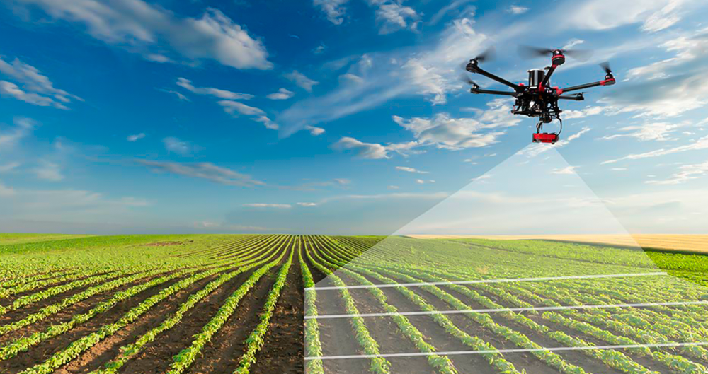 drone_field