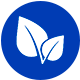 leaf_s